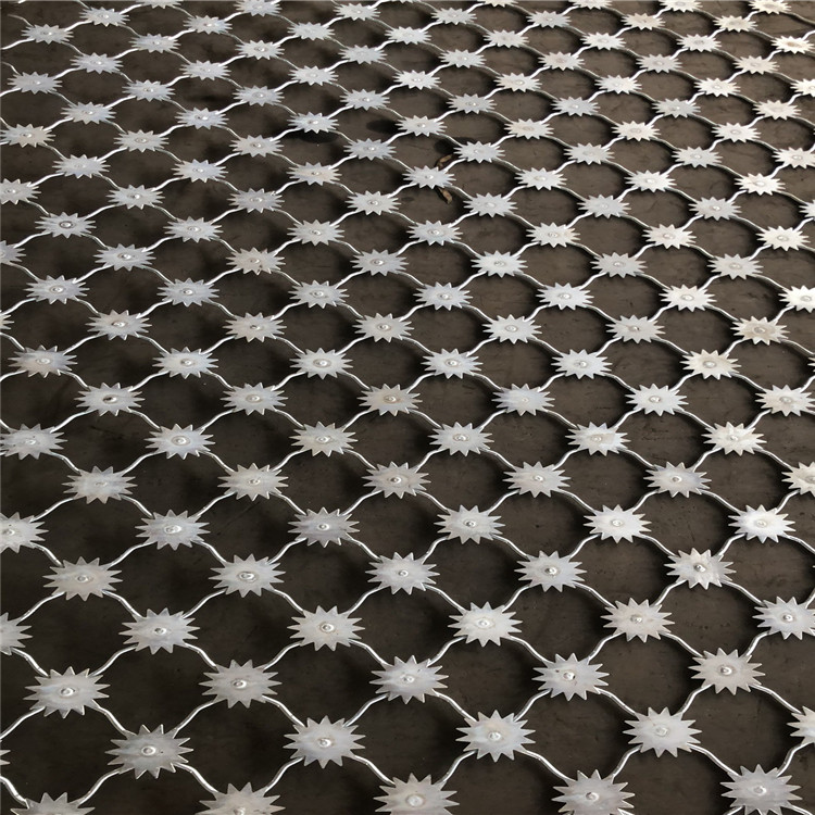 梅花刺片隔离网图片4