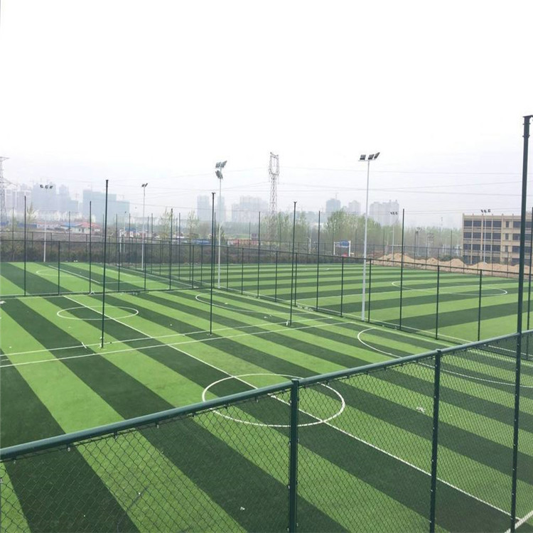 绿色球场围栏网图片2