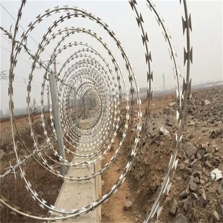 钢丝焊接刀片刺网图片3