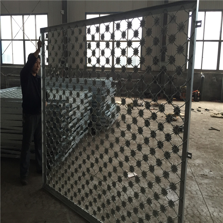 梅花刺片防护网