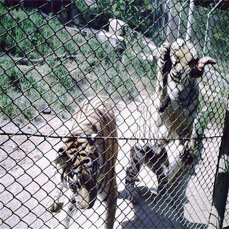 动物园围栏网图片2