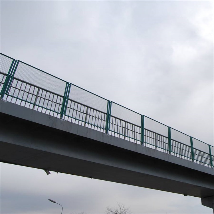 双圈防抛网图片3