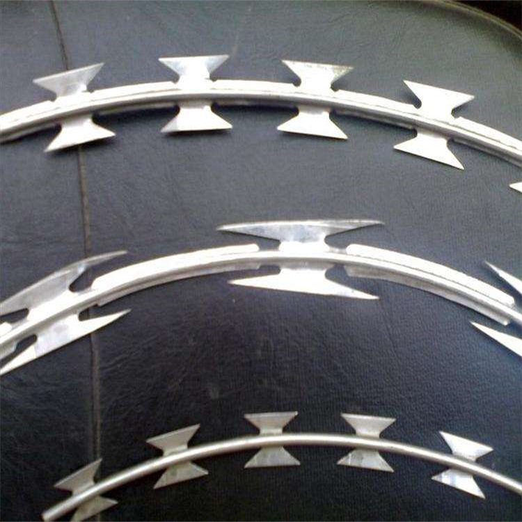 热镀锌刺绳图片3