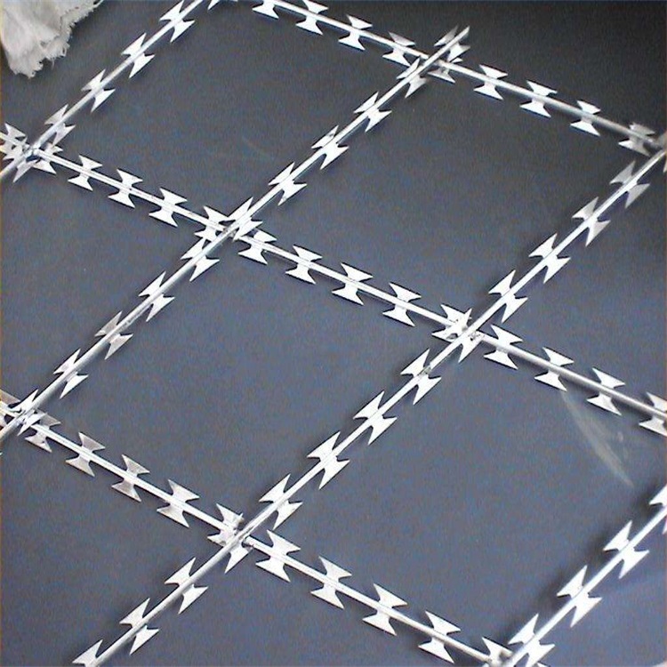 刺铁丝隔离栅图片3