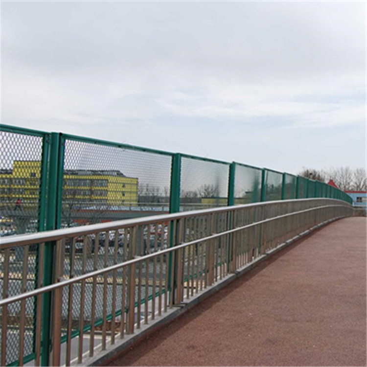 人行天桥防抛网图片3