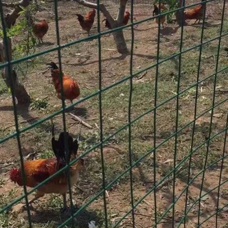 菜园果园围养殖围栏防牲畜护栏网图片2