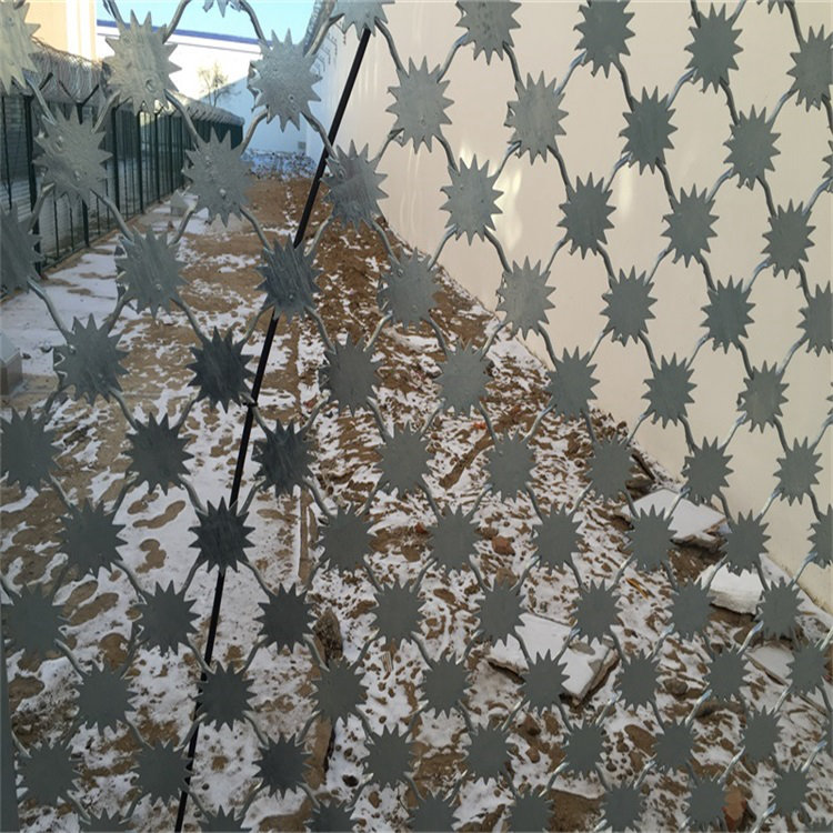 梅花刺片隔离钢网墙图片3