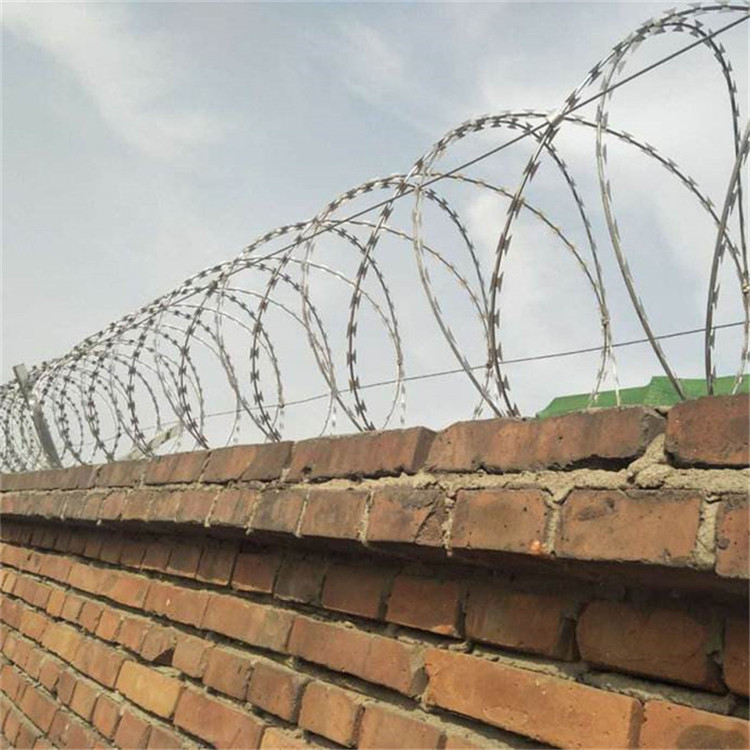 铁路刺丝滚笼图片2